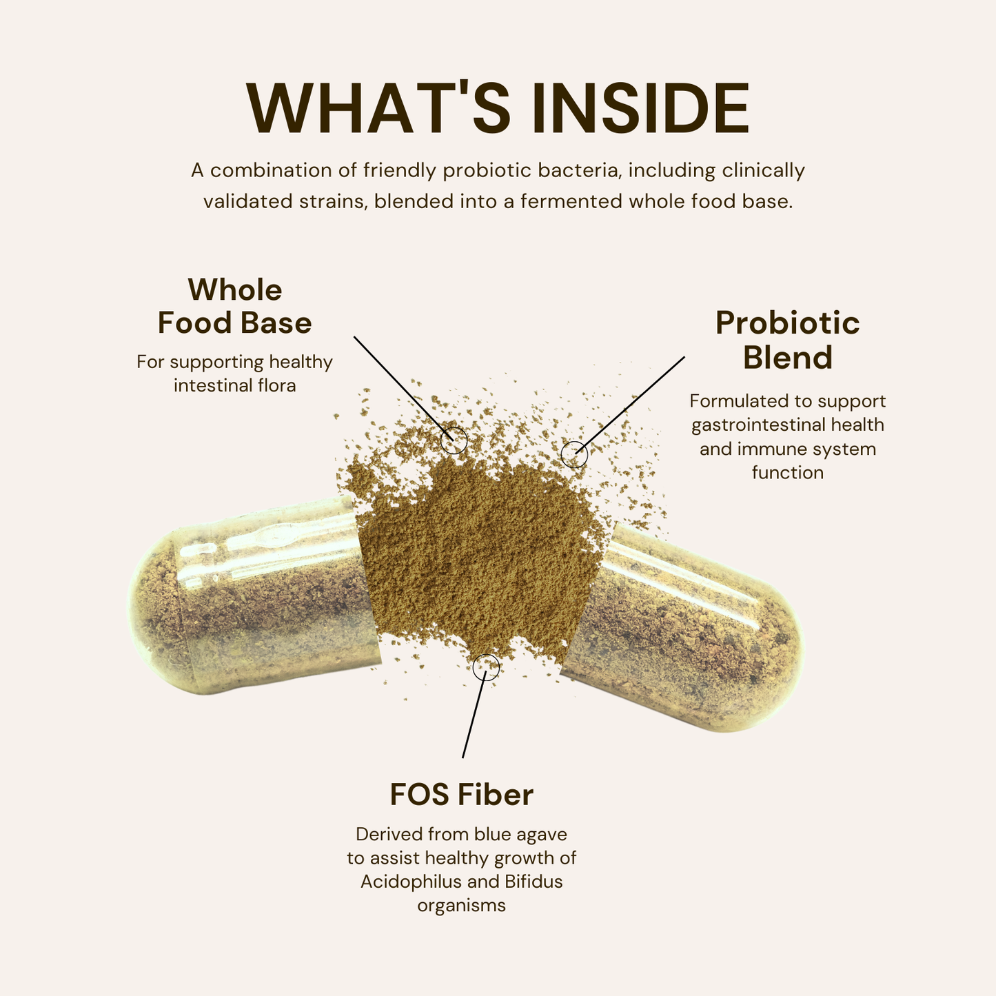 Probiotic Gut Defense