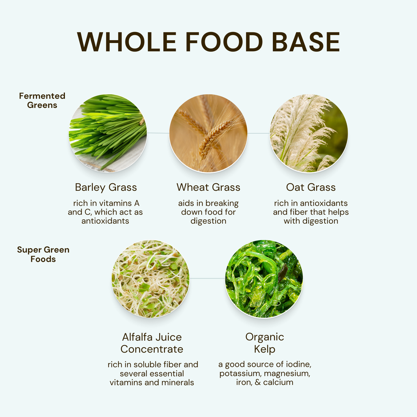 Probiotic Gut Defense